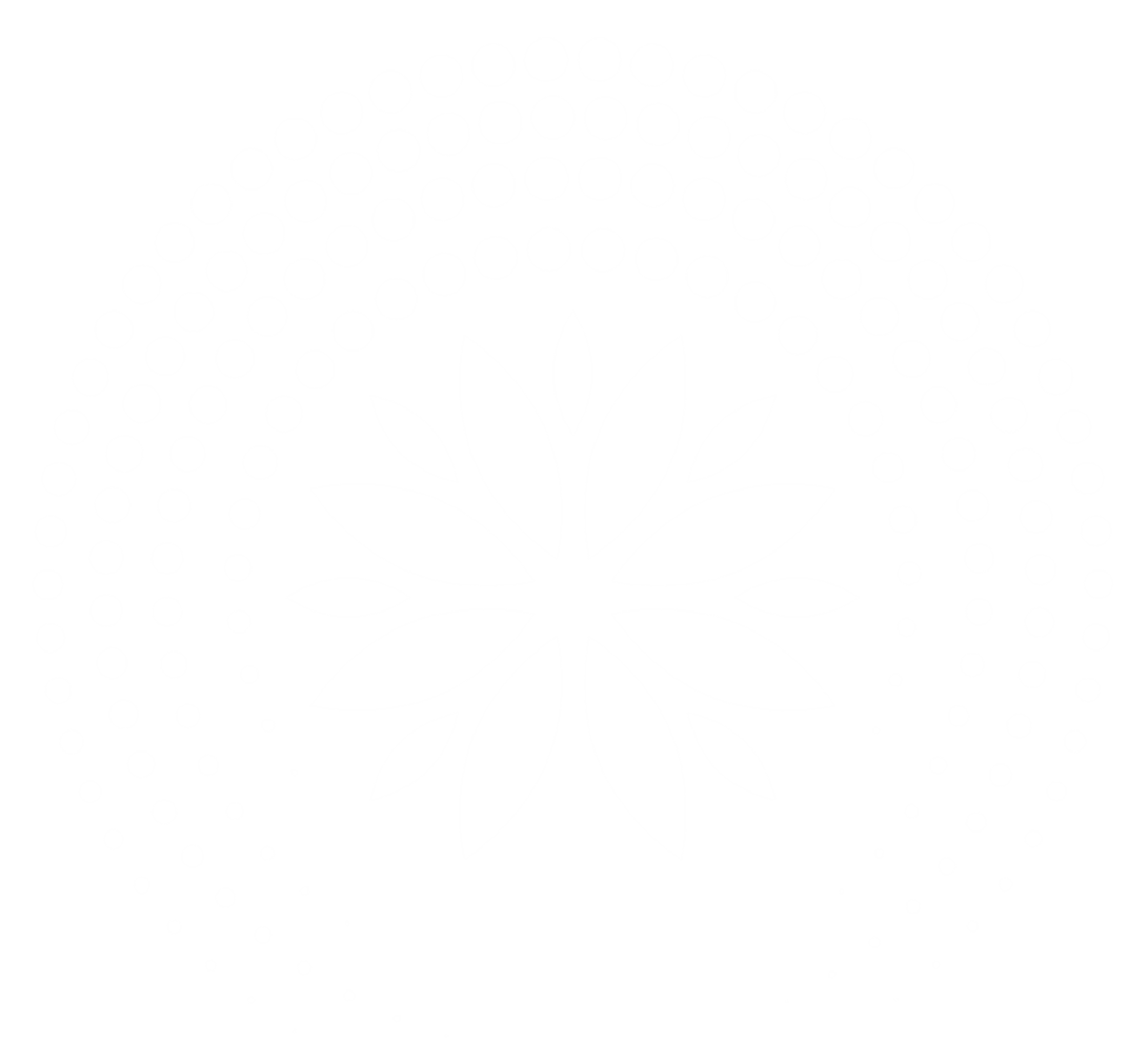 Isintu Connectify Logo